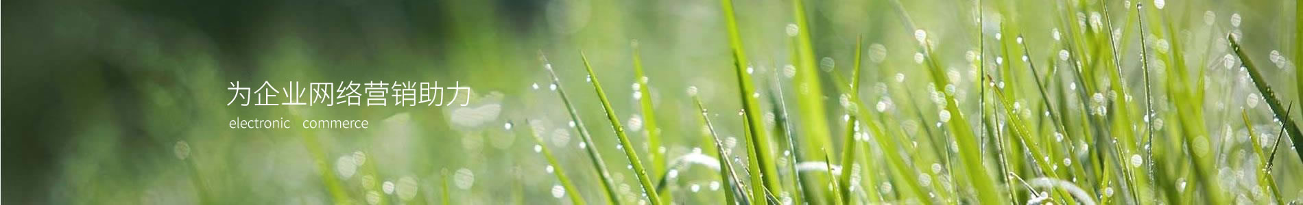 ִƼ޹˾